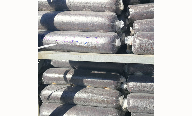 食用菌卡扣應(yīng)用 食用菌卡扣應(yīng)用